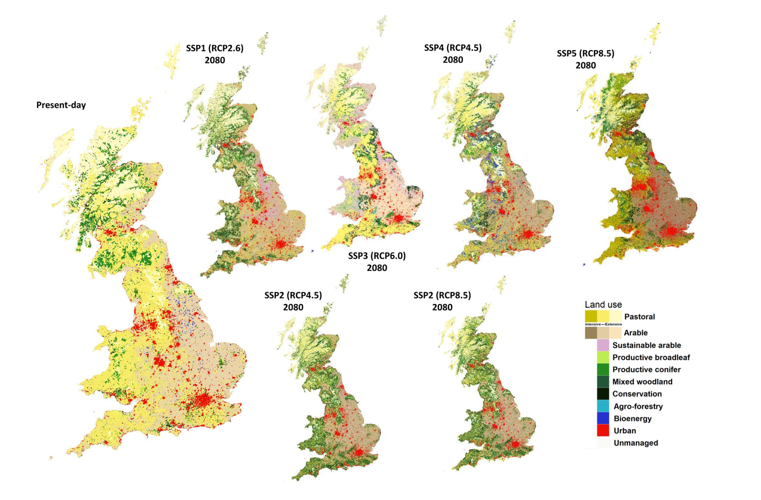 Simulated land use