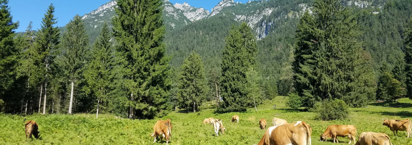 Garmisch-Partenkirchen