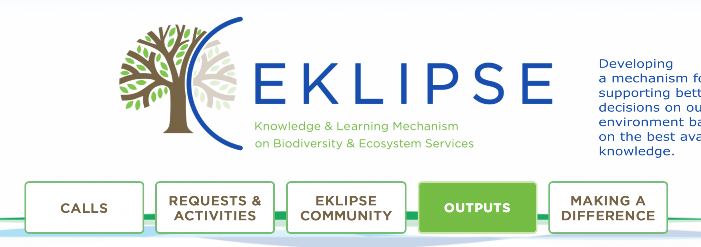 Eklipse project