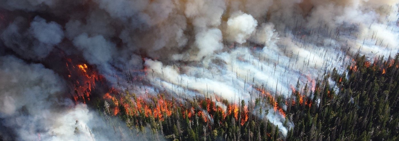 Forest fire blaze