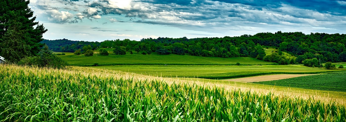 Wisconsin Maize Soybeans